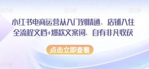小红书电商运营从入门到精通,店铺入住全流程文档+爆款文案词,自有非凡收获-聚富社