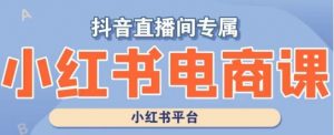 小红书电商高级运营课程,实操教学+案例分析-聚富社