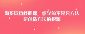 淘系运营核心课,你学的不是只方法是创造方法的根源-聚富社