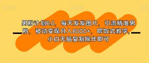 男粉计划6.0,每天发发图片,引流精准男粉,被动变现月入8000+,喂饭式教学,小白无脑复制操作即可-聚富社