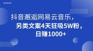 抖音邂逅网易云音乐,另类文案4天狂吸5W粉,日赚1000+【揭秘】-聚富社