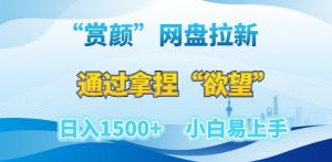 “赏颜”网盘拉新赛道,通过拿捏“欲望”日入1500+,小白易上手【揭秘】-聚富社