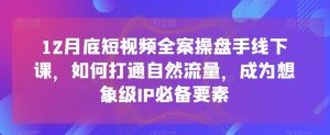 12月底短视频全案操盘手线下课,如何打通自然流量,成为想象级IP必备要素-聚富社