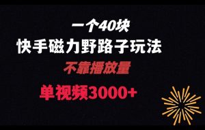 一个40块,快手联合美团磁力新玩法,无视机制野路子玩法,单视频收益4位数【揭秘】-聚富社