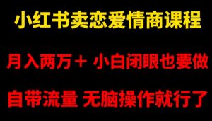 小红书卖恋爱情商课程,月入两万+,小白闭眼也要做,自带流量,无脑操作就行了【揭秘】-聚富社