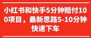 小红书和快手5分钟赔付100项目,最新思路5-10分钟快速下车【仅揭秘】-聚富社