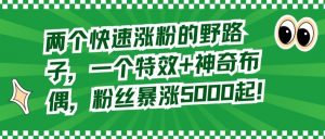 两个快速涨粉的野路子,一个特效+神奇布偶,粉丝暴涨5000起【揭秘】-聚富社