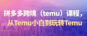 拼多多跨境(temu)课程,从Temu小白到玩转Temu-聚富社