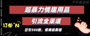 最新情趣项目引流全渠道,自带高流量,保姆级教程,轻松破百单,日引500+粉【揭秘】-聚富社