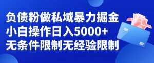负债粉私域暴力掘金,小白操作入5000,无经验限制,无条件限制【揭秘】-聚富社