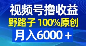 视频号野路子撸收益,100%原创,条条爆款,月入6000+【揭秘】-聚富社