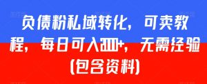负债粉私域转化,可卖教程,每日可入2000+,无需经验(包含资料)【揭秘】-聚富社