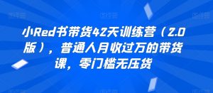 小Red书带货42天训练营(2.0版),普通人月收过万的带货课,零门槛无压货-聚富社