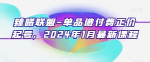 臻曦联盟-单品微付费正价起号，2024年1月最新课程-聚富社