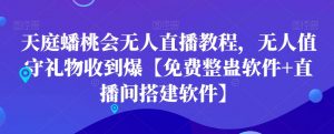 天庭蟠桃会无人直播教程，无人值守礼物收到爆【免费整蛊软件+直播间搭建软件】-聚富社