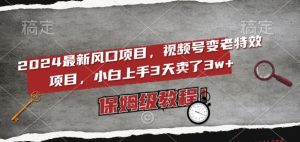 2024最新风口项目,视频号变老特效项目,电脑小白上手3天卖了3w+,保姆级教程【揭秘】-聚富社