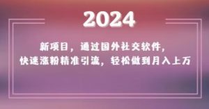 2024新项目,通过国外社交软件,快速涨粉精准引流,轻松做到月入上万【揭秘】-聚富社