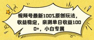 视频号最新100%原创玩法,收益稳定,亲测单日收益1000+,小白专属【揭秘】-聚富社