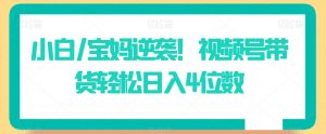 小白/宝妈逆袭!视频号带货轻松日入4位数【揭秘】-聚富社