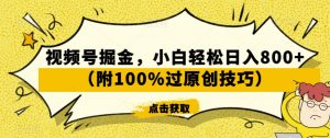 视频号掘金,小白轻松日入800+(附100%过原创技巧)【揭秘】-聚富社