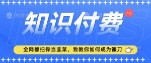 2024最新知识付费项目,小白也能轻松入局,全网都在教你做项目,我教你做镰刀【揭秘】-聚富社
