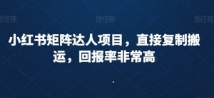 小红书矩阵达人项目,直接复制搬运,回报率非常高-聚富社