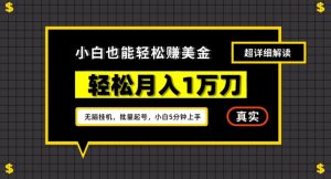 谷歌看广告撸美金2.0,无脑挂机,多号操作,月入1万刀【揭秘】-聚富社