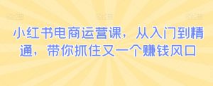 小红书电商运营课,从入门到精通,带你抓住又一个赚钱风口-聚富社