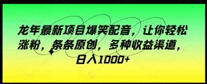 龙年最新项目爆笑配音,让你轻松涨粉,条条原创,多种收益渠道,日入1000+【揭秘】-聚富社