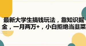 最新大学生搞钱玩法,靠知识掘金,一月两万+,小白拒绝当韭菜【揭秘】-聚富社