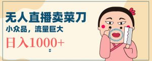 无人冷门品直播新玩法,通过卖菜刀日入1000+【揭秘】-聚富社