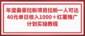 年度最豪拉新项目拉新一人可达40元单日收入1000+红薯推广计划实操教程【揭秘】-聚富社