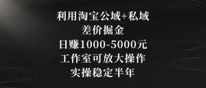 利用淘宝公域+私域差价掘金，日赚1000-5000元，工作室可放大操作，实操稳定半年【揭秘】-聚富社
