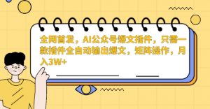 全网首发,AI公众号爆文插件,只需一款插件全自动输出爆文,矩阵操作,月入3W+【揭秘】-聚富社