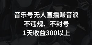音乐号无人直播赚音浪,不违规、不封号,1天收益300+【揭秘】-聚富社