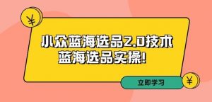 拼多多培训第33期:小众蓝海选品2.0技术-蓝海选品实操!-聚富社