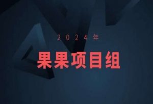2024年果果项目组项目合集-果果最新项目-聚富社