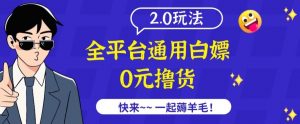 外面收费2980的全平台通用白嫖撸货项目2.0玩法【仅揭秘】-聚富社
