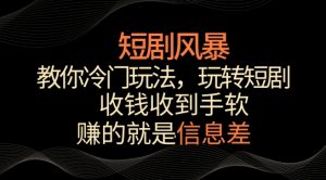 短剧风暴,教你冷门玩法,玩转短剧,收钱收到手软【揭秘】-聚富社