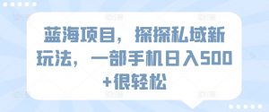 蓝海项目,探探私域新玩法,一部手机日入500+很轻松【揭秘】-聚富社