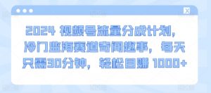 2024视频号流量分成计划,冷门监海赛道奇闻趣事,每天只需30分钟,轻松目赚 1000+【揭秘】-聚富社