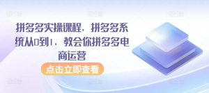 拼多多实操课程,拼多多系统从0到1,教会你拼多多电商运营-聚富社