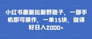 小红书最新拉新野路子,一部手机即可操作,一单15块,做得好日入2000+【揭秘】-聚富社