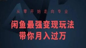 从零开始走向专业,闲鱼最强变现玩法带你月入过万-聚富社