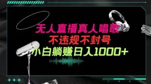 抖音24小时无人直播音乐,不违规,不封号纯撸音浪,小白实操当天日入1000+【揭秘】-聚富社