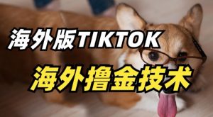 抖音海外版tiktok撸金技术,这个风口行业,赚钱真的不难【揭秘】-聚富社