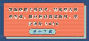 掌握这两个野路子,特效结合神奇布偶,能让粉丝数量飙升,至少增长 5000【揭秘】-聚富社