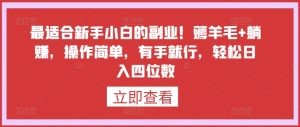 最适合新手小白的副业!薅羊毛+躺赚,操作简单,有手就行,轻松日入四位数【揭秘】-聚富社