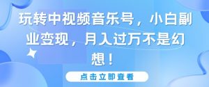 玩转中视频音乐号,小白副业变现,月入过万不是幻想【揭秘】-聚富社