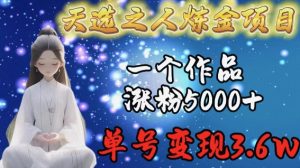 天选之人炼金项目,一个作品涨粉5000+,单号变现3.6w【揭秘】-聚富社